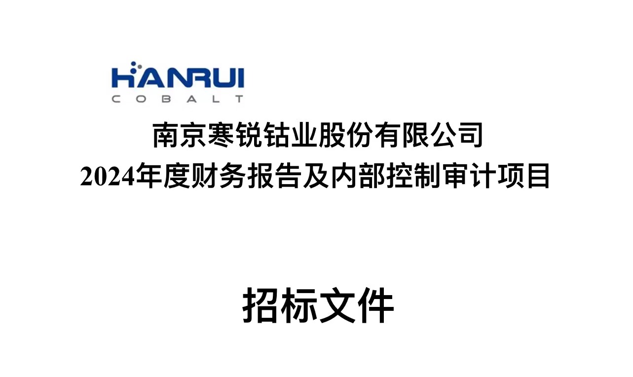 南京pg电子模拟器试玩在线股份有限公司 2024年度财务报告及内部控制审计项目招标文件